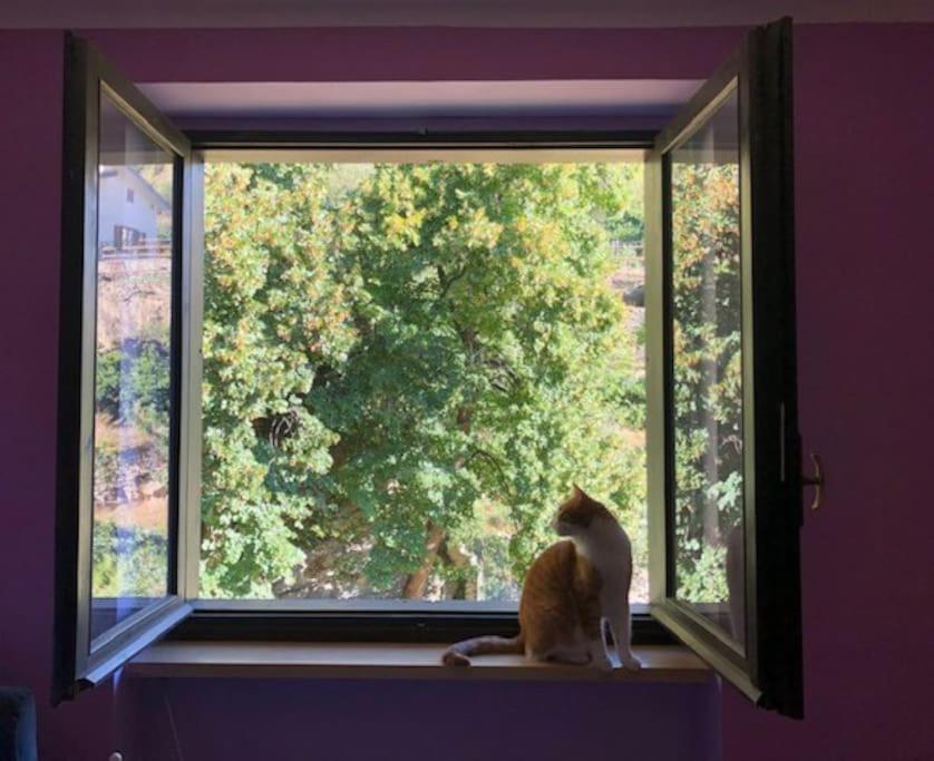 Casa Con Vista A Gravere Esterno foto